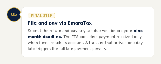 Infographic step 5 for filing corporate tax returns and paying via EmaraTax portal